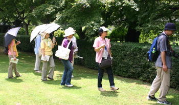 小石川植物園.jpg